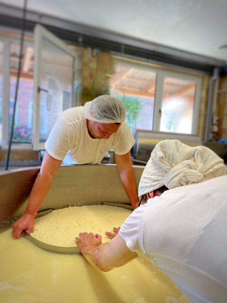 zwei Käser bei der Arbeit in der Käserei