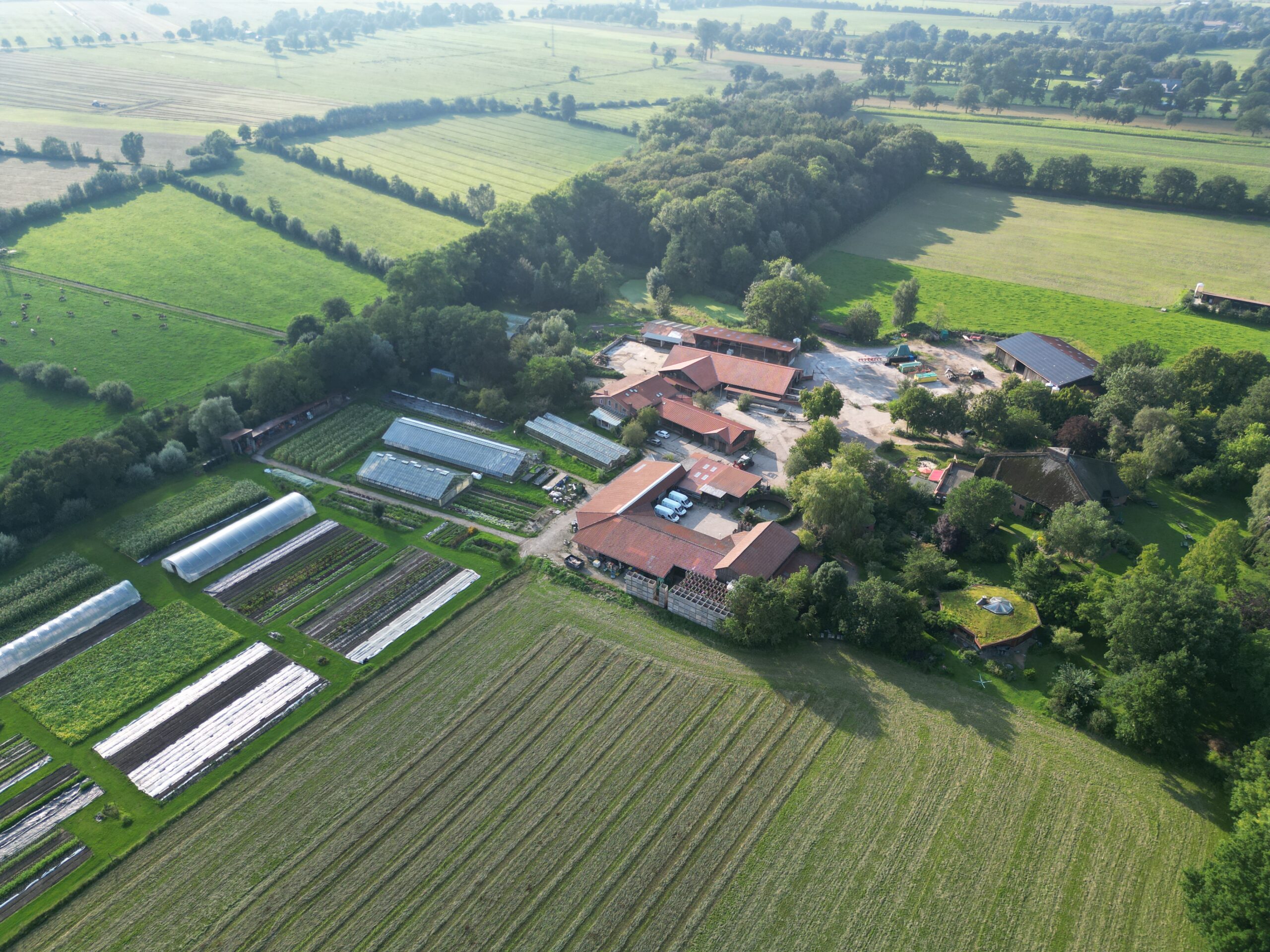 eine Luftaufnahme von Hof Dannwisch mit der Gärtnerei im Vordergrund