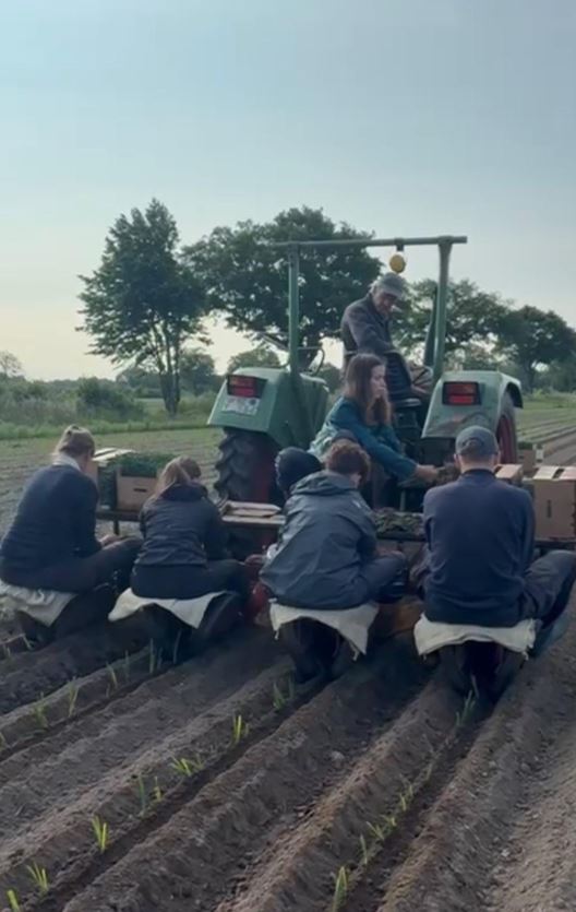 Solawi-Erntebrief KW 24 1 ein Trecker mit einer Pflanzmaschine auf der Menschen sitzen und Porree pflanzen