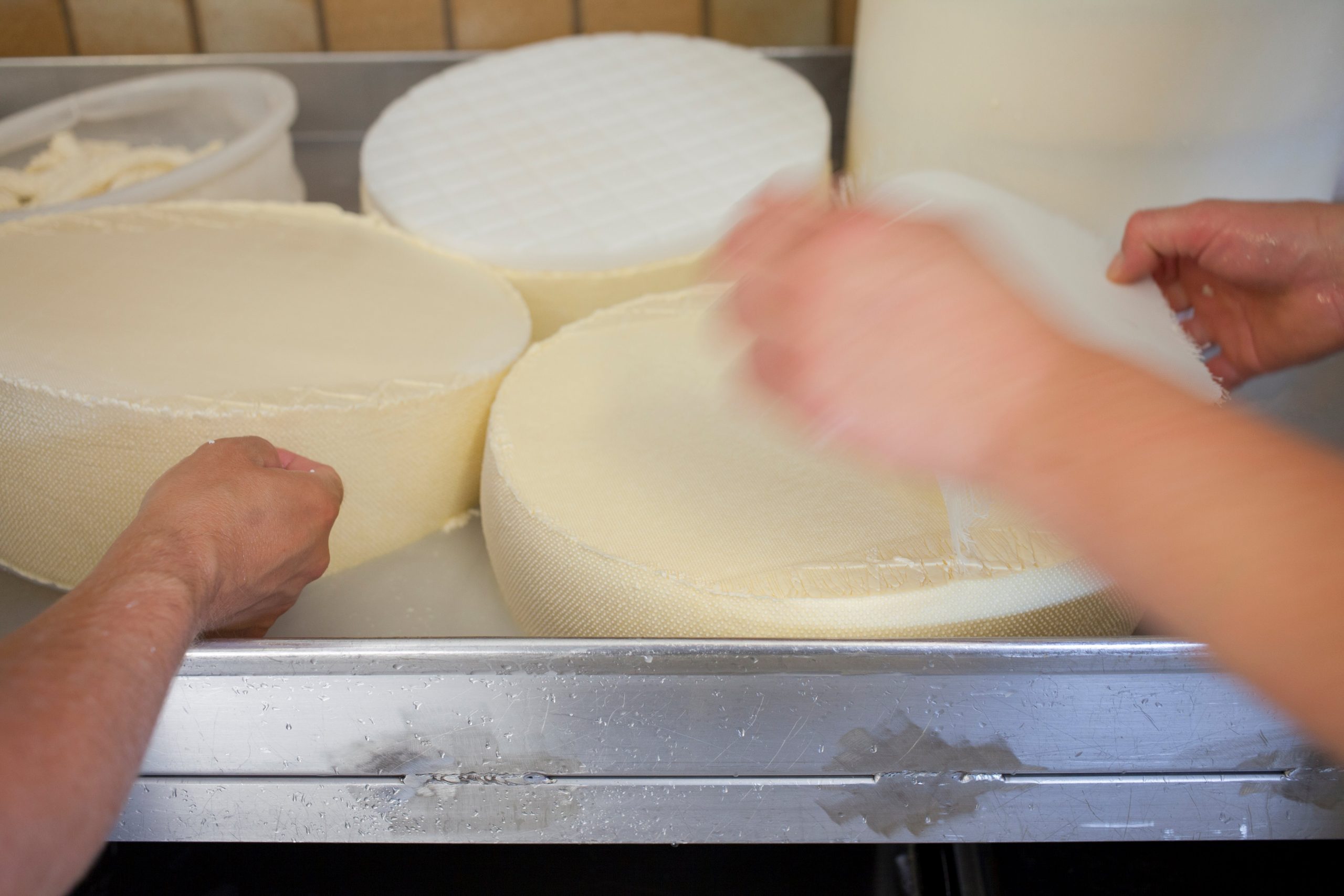 Käse