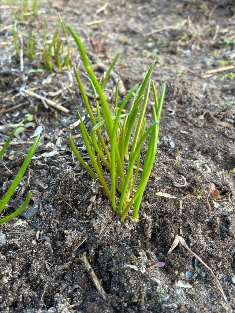 0fbb50dd 7157 4783 94b9 6cb0d50fa0f1