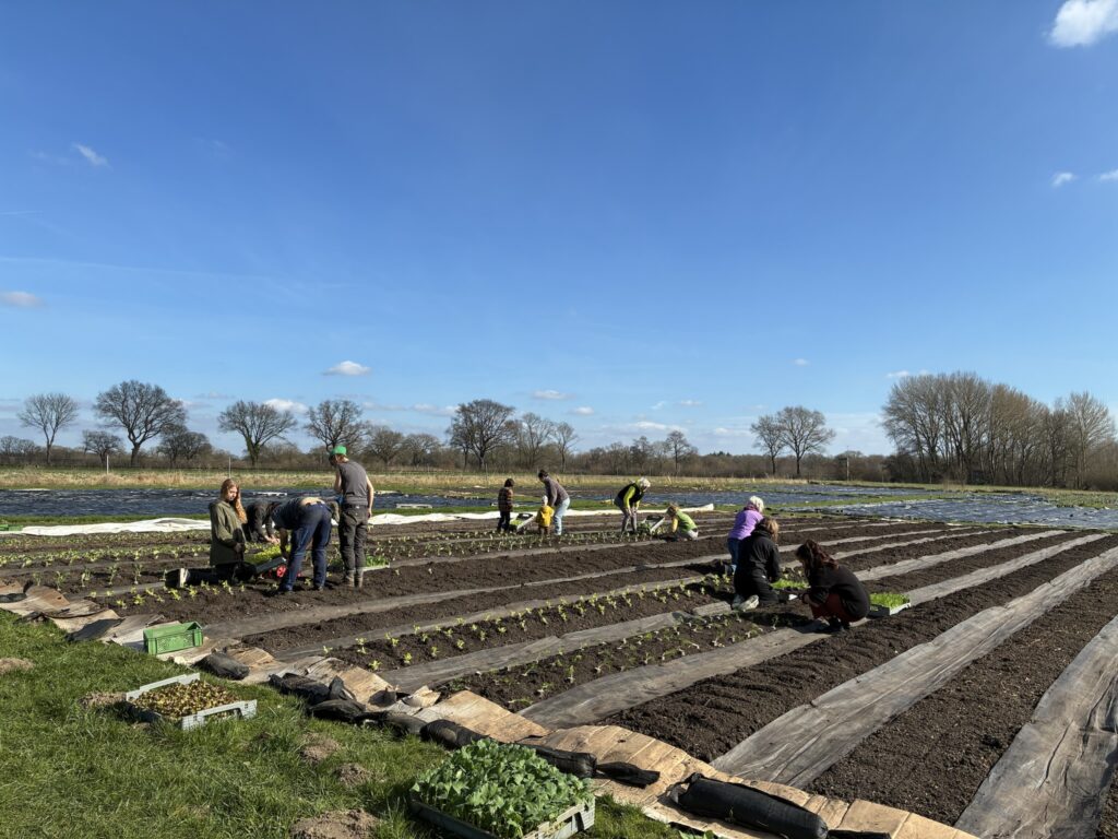 Startseite 11 IMG 2287