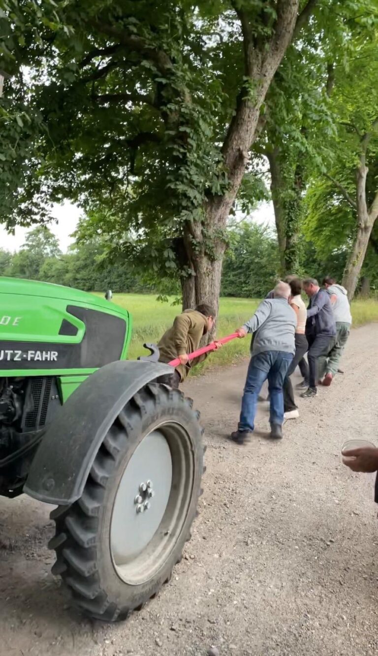 Stellenausschreibungen