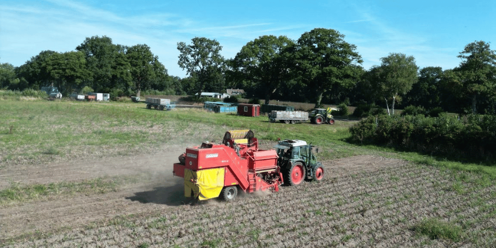 Startseite 16 Kartoffelnroden KW33